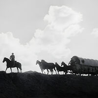 Hoy en Amazon Prime Video: uno de los mejores westerns de John Wayne junto a un gran e imprescindible director del cine del Oeste 