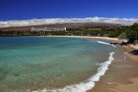 Hawaii: historia de ballenas y naufragios