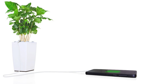 La phone-osíntesis de Bioo Lite: ¿es posible cargar el móvil con la energía que genera una planta?