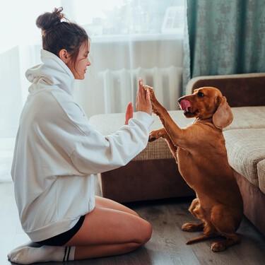 Las cuatro órdenes que todo perro tiene que saber para que nos acompañe a cualquier lugar