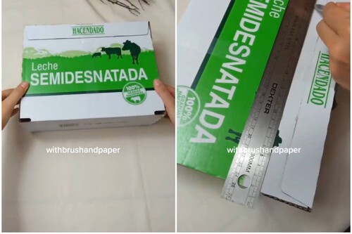 Reutilizar caja de leche