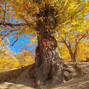 La ruta corta y fácil para hacer con niños: una fantasía con duendes tallados en los castaños y figuras mitológicas escondidas