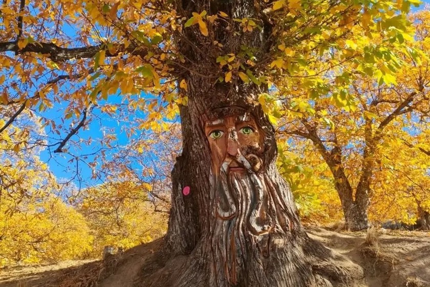La ruta más fácil y bonita para hacer con niños: duendes, hadas y magos tallado en un bosque de castaños milenarios