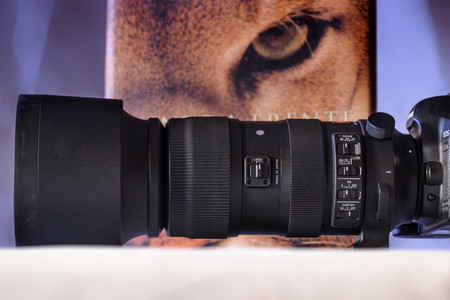 Sigma 60-600 mm f4.5-6.3 DG OS HSM Sport, análisis: un zoom todoterreno que nos lleva al límite