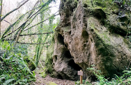 Cuevas Andia