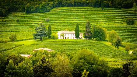 Bodegas Verde