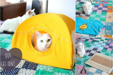 Una tienda para tu gato con una camiseta