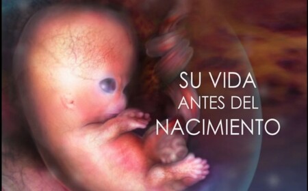 Espectacular vídeo sobre la vida del bebé antes de nacer con imágenes reales