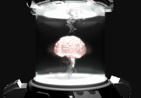 cerebro congelado