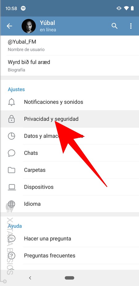 Privacidad Y Seguridad