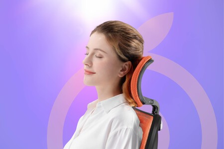Silla Escritorio Sihoo 2