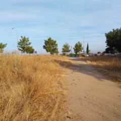 Foto 3 de 9 de la galería fotos-moto-g4-play en Xataka Android