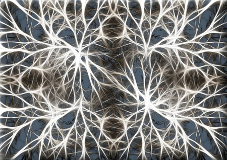 La longevidad y la madurez sexual podría depender más del cerebro que del cuerpo