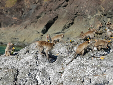 Morgan Island