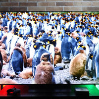 Ofertón en la LG OLED C5 de 55 pulgadas, la tele que más recomendamos en calidad-precio sin ninguna duda 