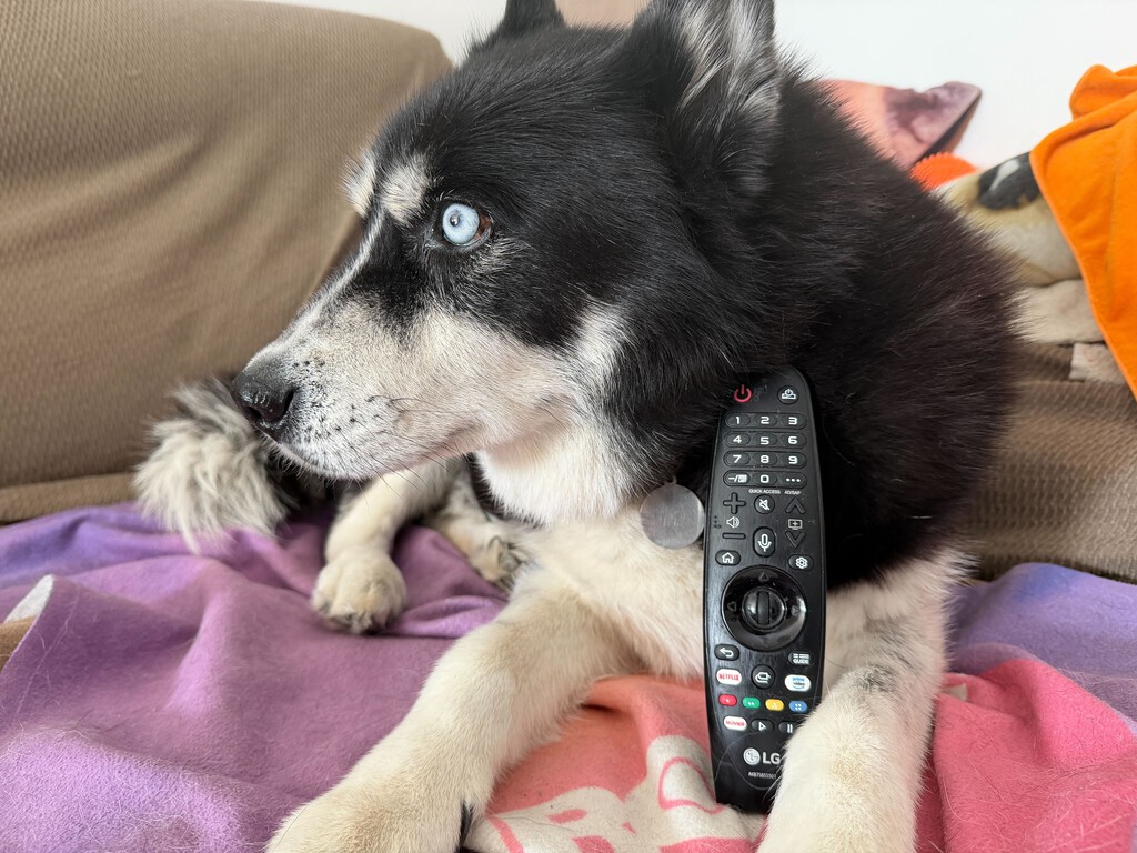 El truco del Magic Remote en tu tele LG: cómo configurar los 'Accesos Rápidos' numéricos para abrir tus apps en 1 segundo 