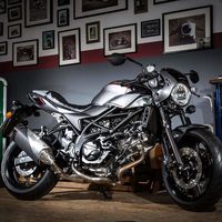 Suzuki SV650X ABS: Estética de rally de los 70 perfecta para el carnet A2