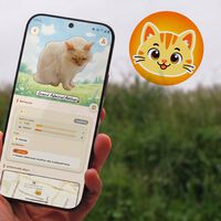 Un desarrollador ha mezclado la exploración y captura de Pokémon GO con gatitos. El resultado es adorable