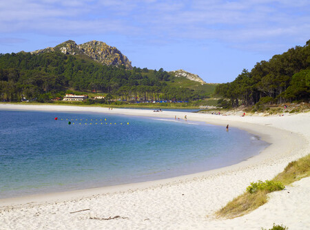 Cies