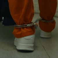Número 1 de Netflix en 65 países. La película para adultos que arrasa con una de las mayores estrellas de Hollywod 