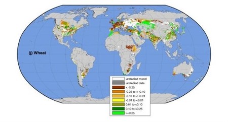 El rendimiento en los 10 principales cultivos del mundo empieza a reducirse debido al cambio climático