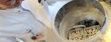Embriones congelados: ¿qué hacemos con los embriones no transferidos? 