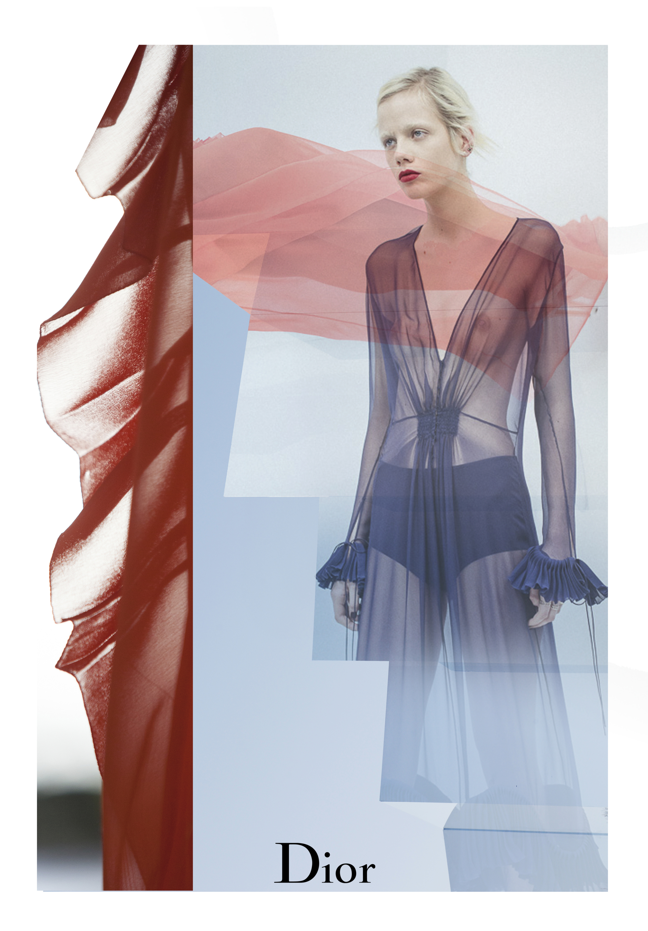 Foto de Detalles desfile Dior Alta Costura (2/15)