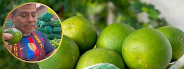 Comerciante de la Central de Abastos: “el limón con cáscara gruesa no se parte a la mitad, sino de lado”