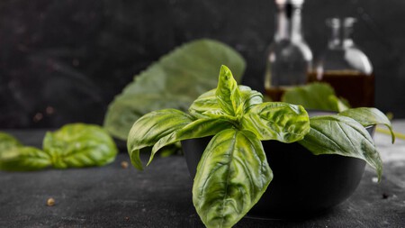 Hojas de albahaca fresca. Foto: Freepik