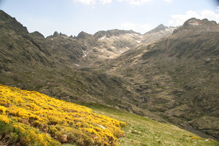 Piornal Circo De Gredos 01