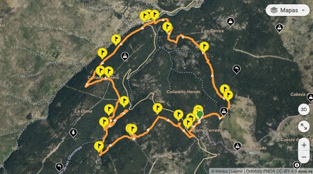 Ruta De Senderismo Cerca De Madrid Canencia