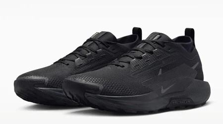 Nike Pegasus Trail 5 Gore Tex
