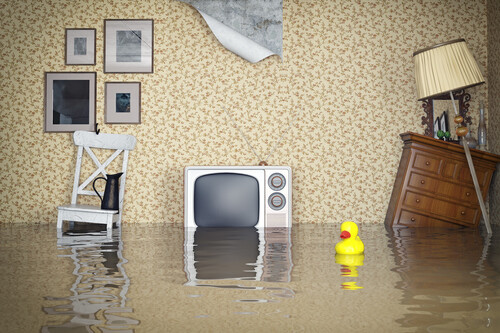 Humedad y moho en casa: mejores productos y dispositivos para eliminarlos. Consejos y recomendaciones