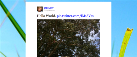 La plataforma de fotos de Twitter ya tiene nombre, fecha y primeras imágenes