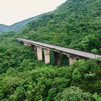 Brasil quiso atravesar la selva con una autopista imposible. Hoy solo queda un puente fantasma devorado por la vegetación