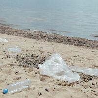 Hemos aprendido que prohibir por ley las bolsas de plástico sí funciona. Las iniciativas de México siguen sin dar datos 