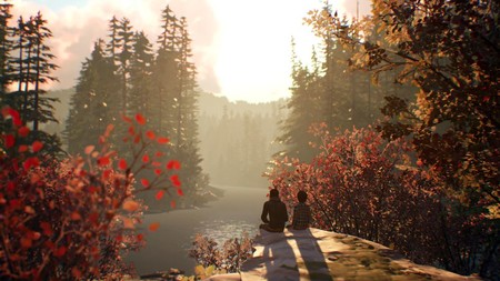 Life is Strange 2 también saldrá en Linux y Mac, pero habrá que esperar hasta 2019