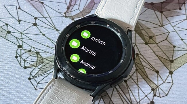Administrador Archivos Wear Os