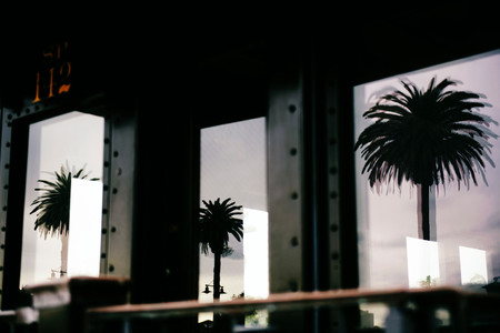 Trucos Para Fotografiar Arboles 03