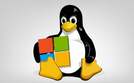 Desde que Ballmer dijo que Linux era un cáncer a Nadella y su amor por el Open Source: así ha sido la relación de Microsoft con el SO 