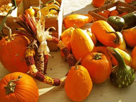 Propiedades medicinales de la calabaza