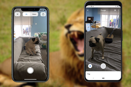 Google añade 50 nuevos animales 3D: hipopótamo, ardilla, jirafa y muchos más