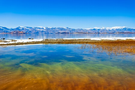 Shutterstock 2659003707