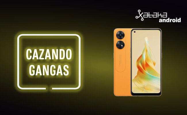 Cazando Gangas