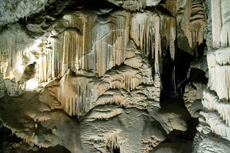 Descubriendo las cuevas de Eslovenia I: Postojna 
