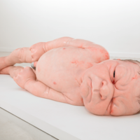 El impresionante bebé reborn de cinco metros de Ron Mueck