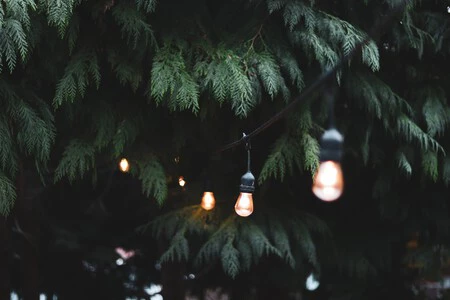 Tres guirnaldas de luces LED rebajadas de Lidl para que nuestro jardín brille este verano