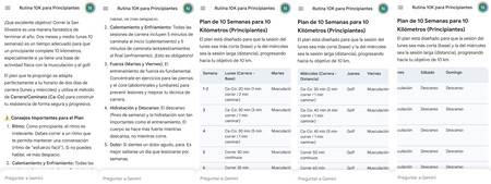 Gemini Entrenador Personal