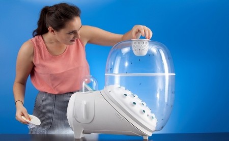 Pon una granja de moscas en tu cocina y sé autosuficiente