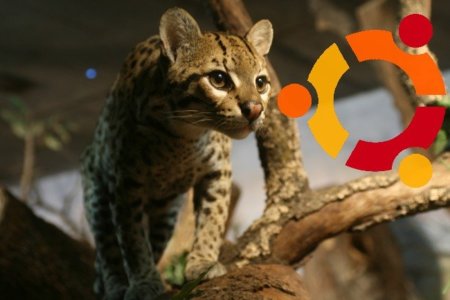 Ubuntu Oneiric Ocelot será el nuevo nombre para Ubuntu 11.10